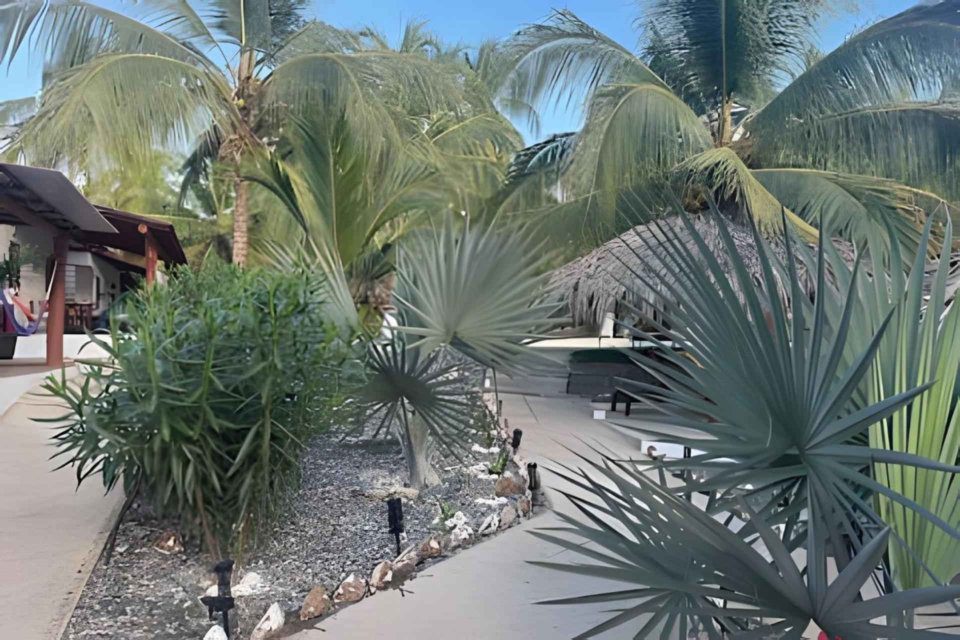 Casa Las Palmas Playa La Saladita 지와타네호 외부 사진