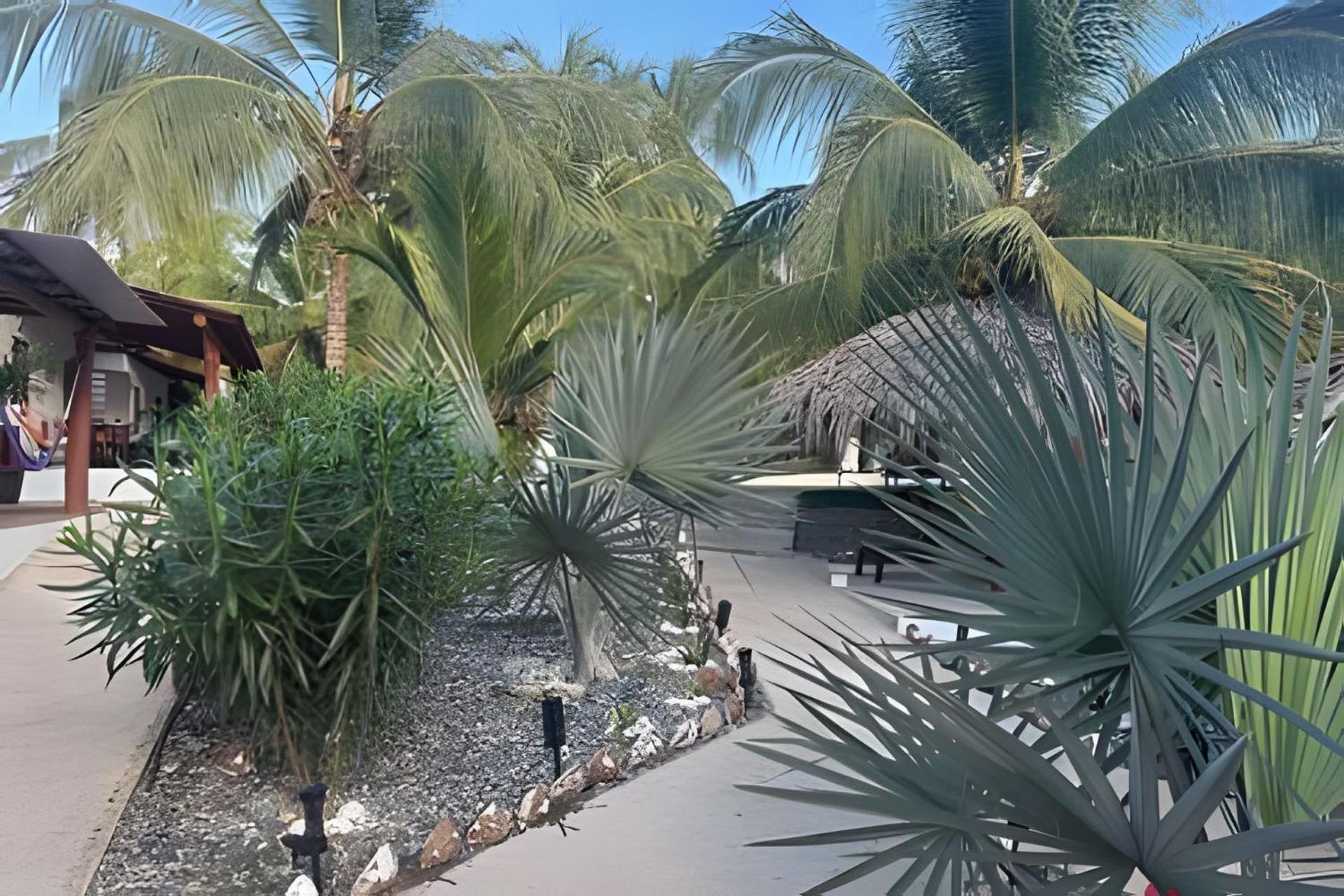Casa Las Palmas Playa La Saladita 지와타네호 외부 사진