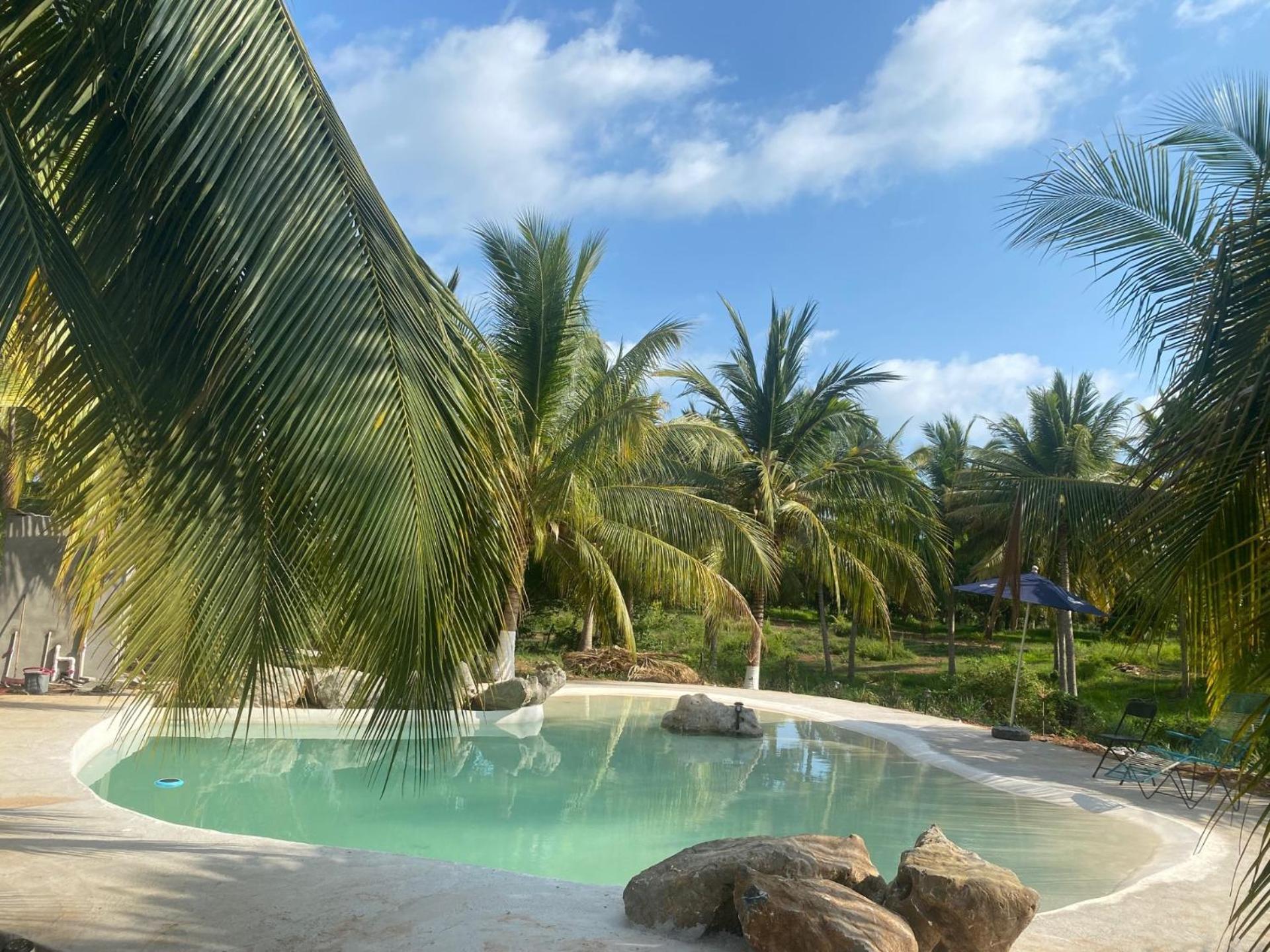 Casa Las Palmas Playa La Saladita 지와타네호 외부 사진